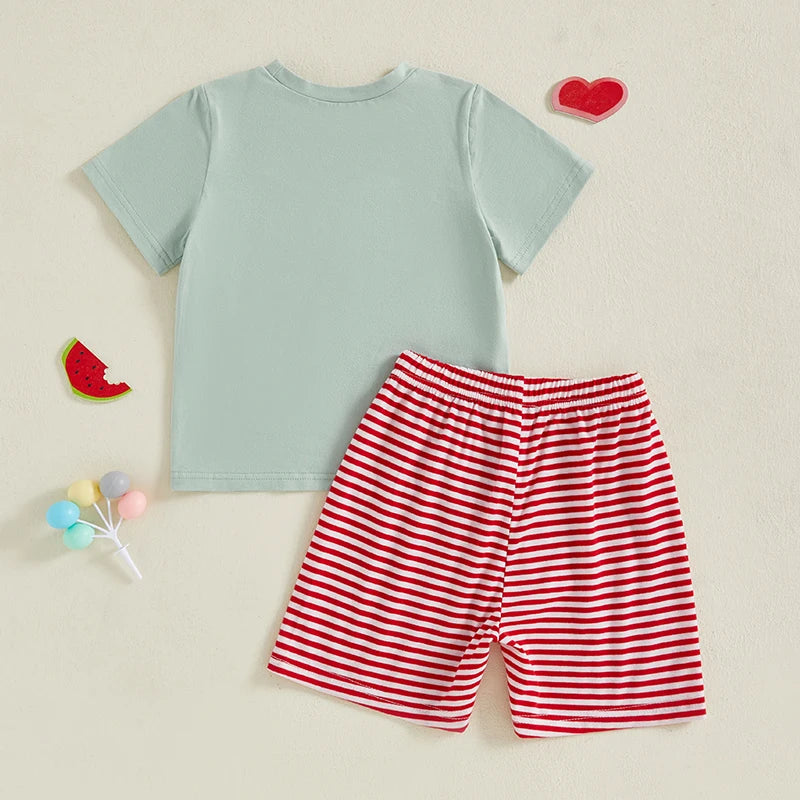 Boys Summer Outfits Pineapple Embroidery 2Pcs Clothes Set