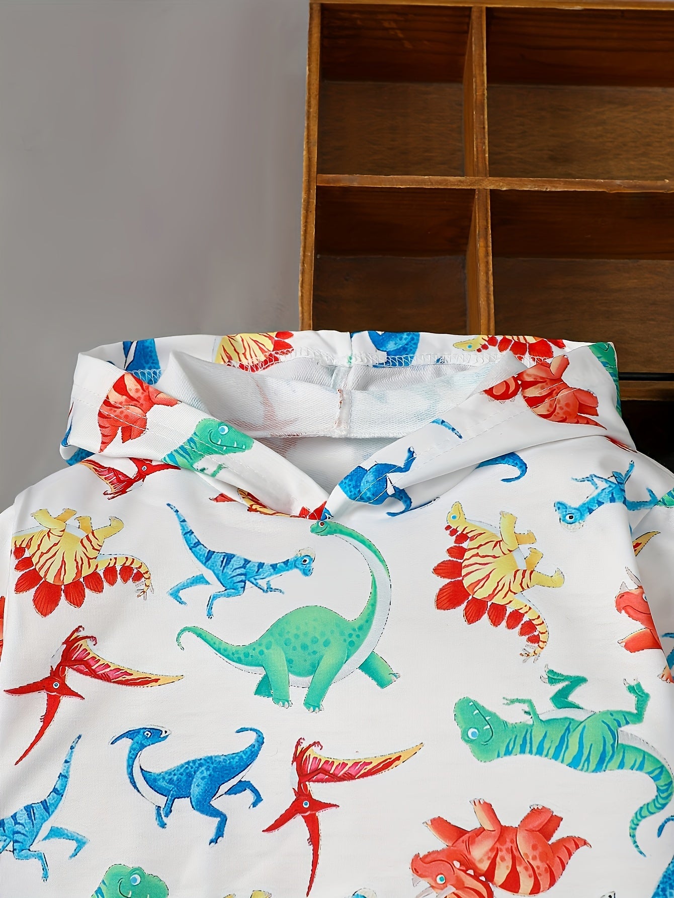 2Pcs Fall And Winter Children's Printed Dinosaur Print Pullover