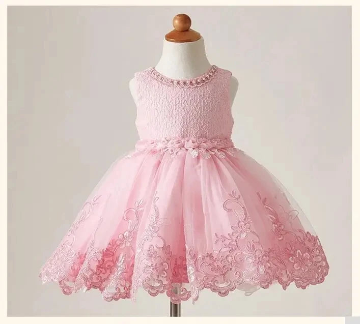 Embroidery Baby Girls Sequin Tutu Dress Toddler Kids