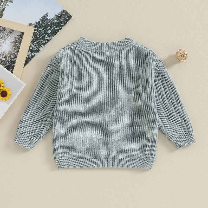 Lioraitiin Toddler Baby Knit Sweater Round Neck Long Sleeve Pullover Sweatshirt for Fall and Winter