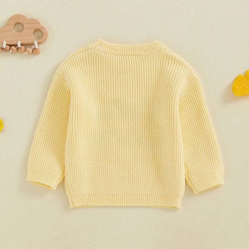 Lioraitiin Toddler Kids Baby Boys Fall Sweater Two Colors Long Sleeve Crew Neck Knitwear Pullover