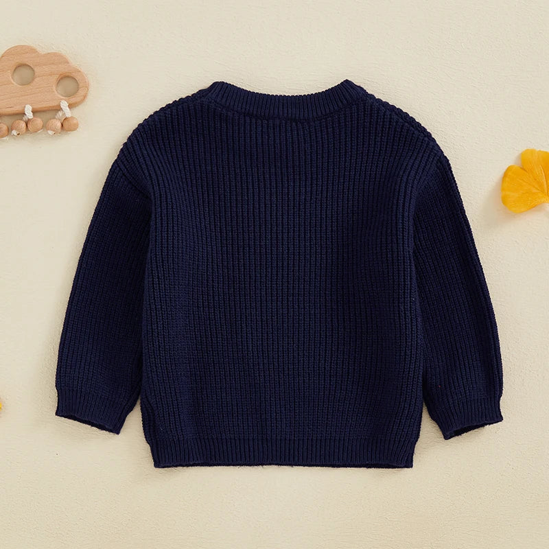 Lioraitiin Toddler Kids Baby Boys Fall Sweater Two Colors Long Sleeve Crew Neck Knitwear Pullover