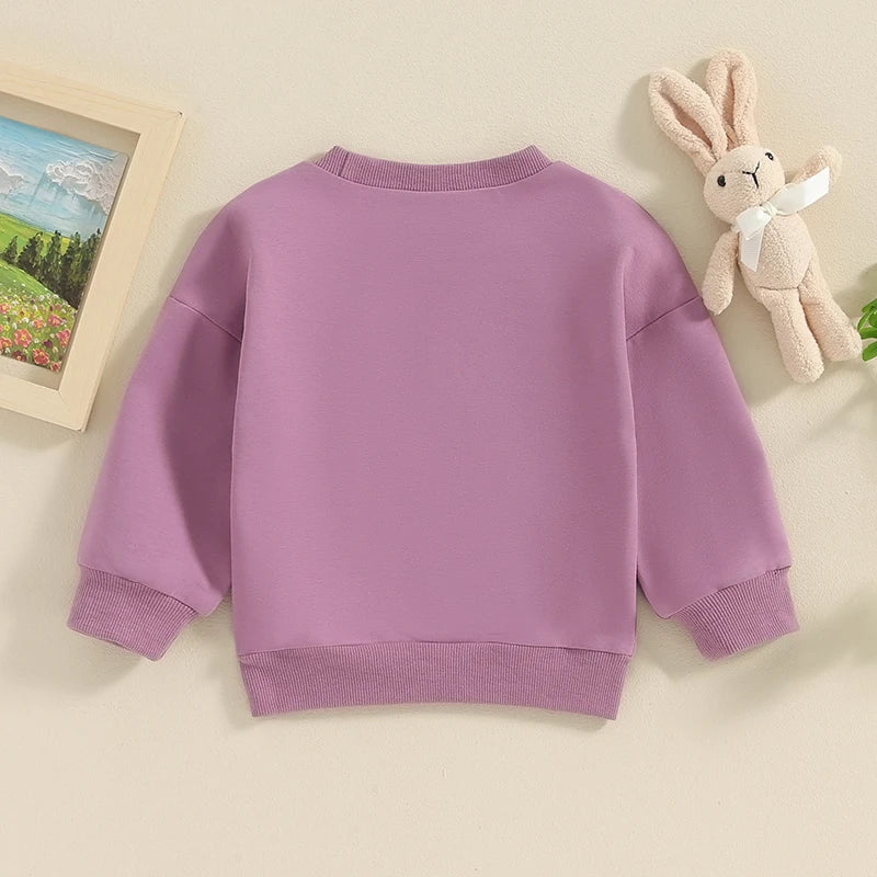 Lioraitiin 0-5 Years Toddler Kids Girls Boys Easter Rabbit Letter Fuzzy Embroidery Long Sleeve Sweatshirt Pullover Top