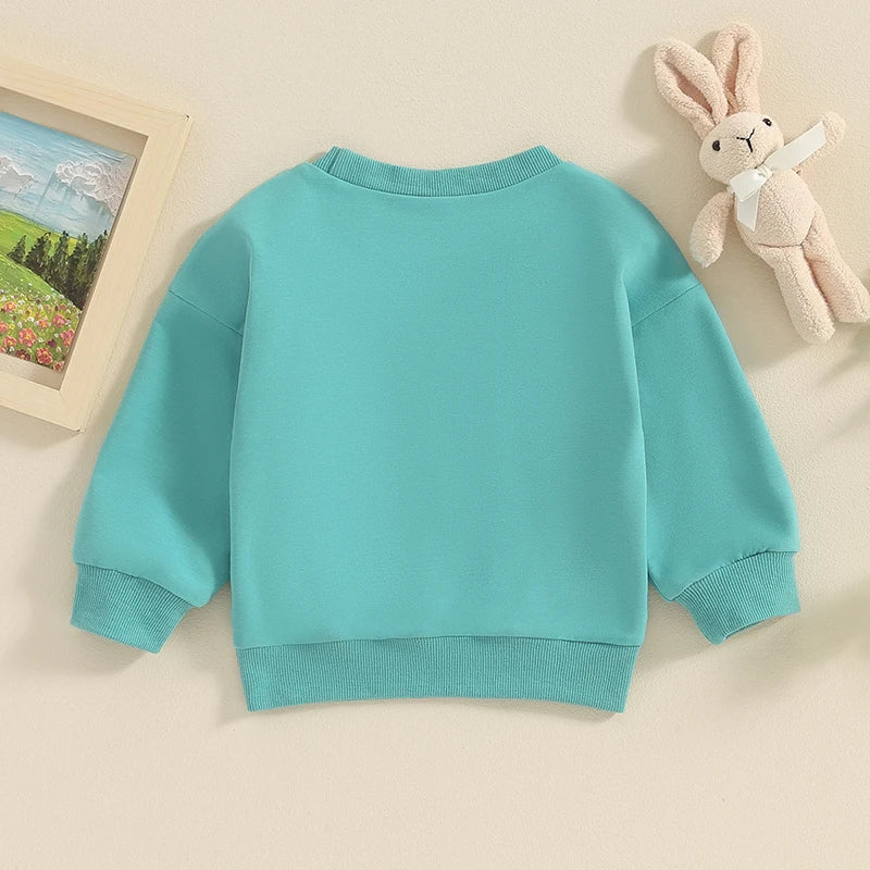 Lioraitiin 0-5 Years Toddler Kids Girls Boys Easter Rabbit Letter Fuzzy Embroidery Long Sleeve Sweatshirt Pullover Top