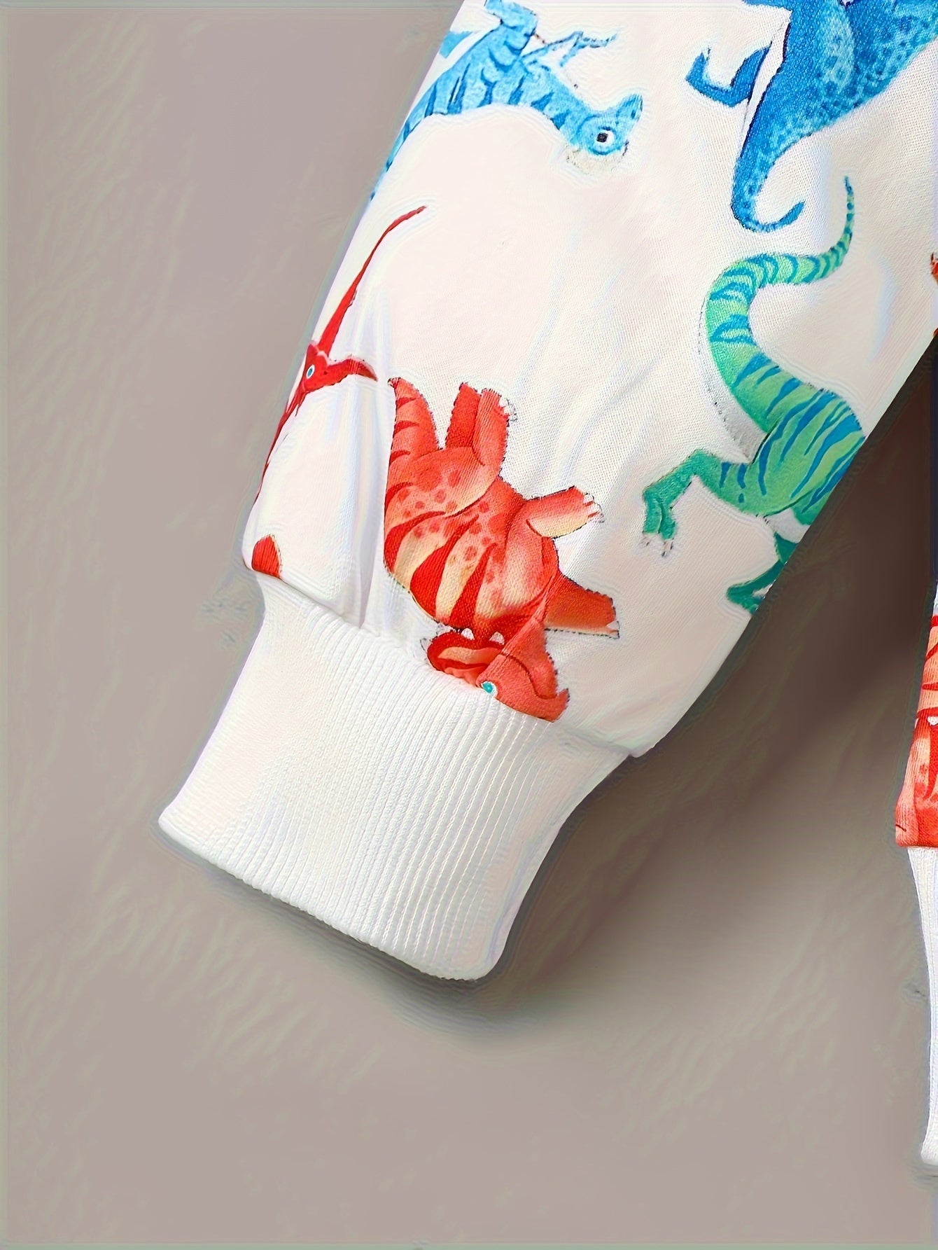 2Pcs Fall And Winter Children's Printed Dinosaur Print Pullover