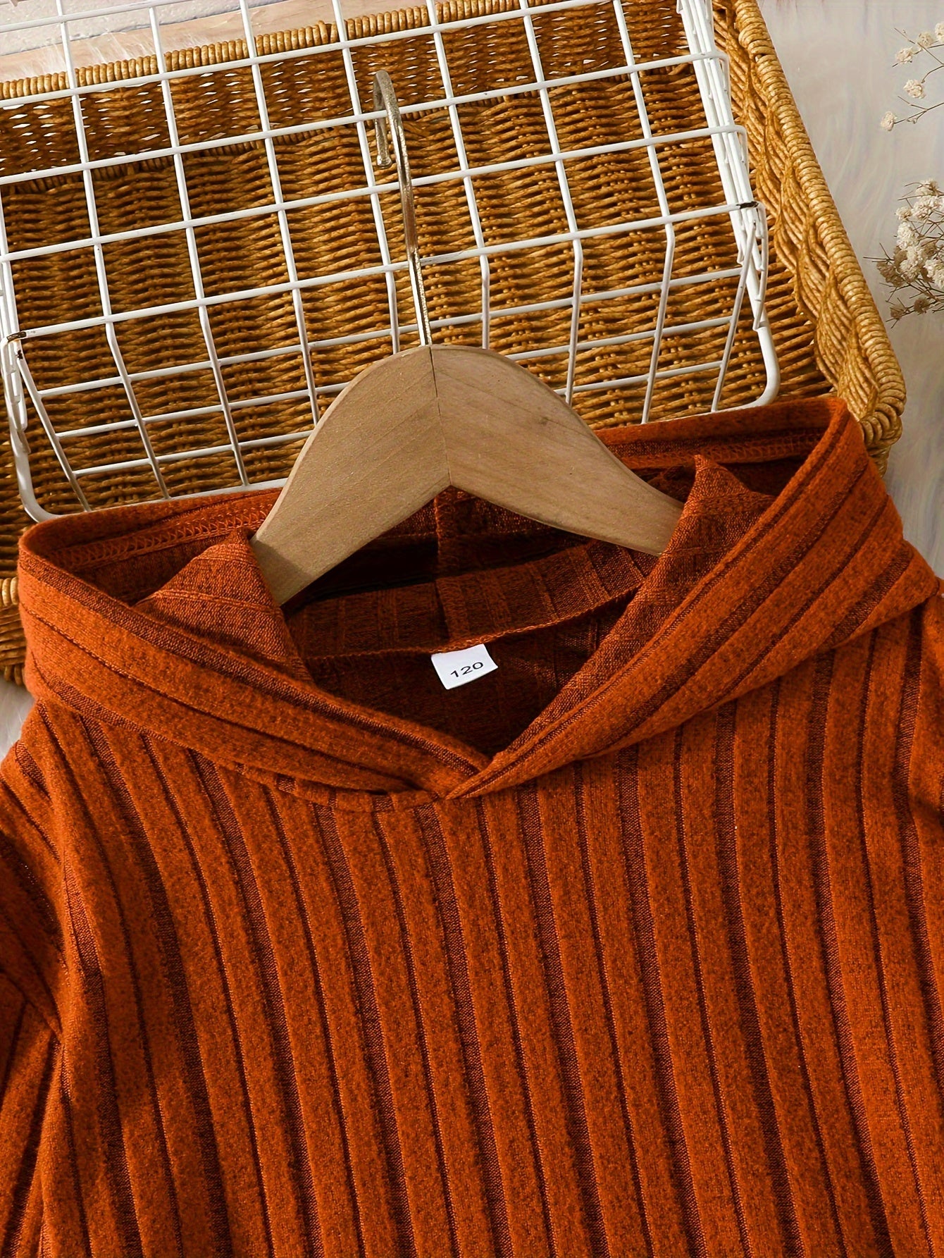 2 Piece Cute Girls Spring and Autumn Texture Hoodie Brushed Warm Pants